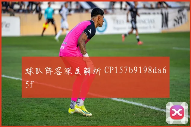球队阵容深度解析 CP157b9198da65f